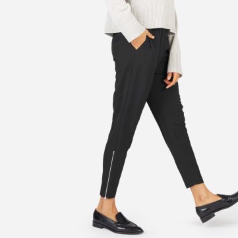 EVERLANE Japanese GoWeave Zip Track Pant